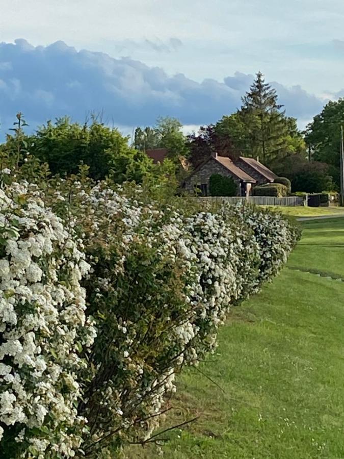 Les Cottages D'Orient Gite Boutique Mesnil-Saint-Père Eksteriør billede